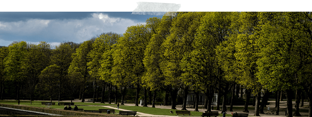 Les plus beaux parcs et jardins de Bruxelles à explorer sans modération