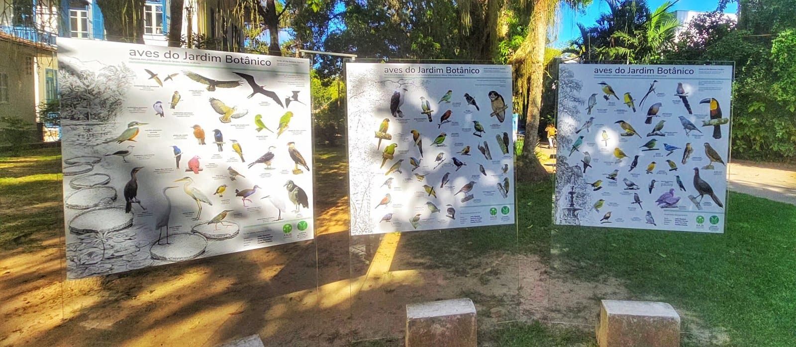 Les oiseaux du jardin Botanique